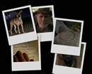 A desktop background collage from Millennium's Beware of the Dog.