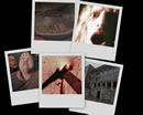 A desktop background collage from Millennium's The Pest House.