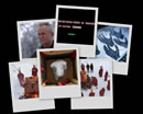 A desktop background collage from Millennium's Bardo Thodol.