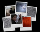 A desktop background collage from Millennium's Darwin's Eye.