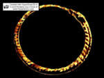 Paulo's Spinning Ouroborous Screen Saver