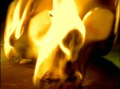 A random image from the first season episode of Millennium, Gehenna.