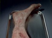 A random image from the first season episode of Millennium, The Judge.