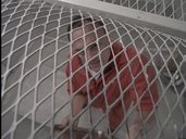 A third random image from Chris Carter's Millennium.