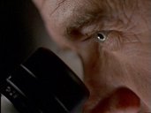 A random image from the first season episode of Millennium, Walkabout.