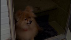 A random image from this Millennium episode
