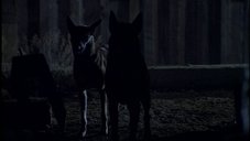 A random Millennium image from the second season episode Beware of the Dog.