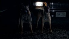 A random image from this Millennium episode