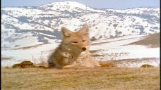 A random scene from this Millennium episode A Single Blade of Grass.