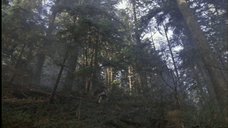 Selected images from Luminary - (open for larger image).