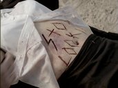 An image from Millennium: Blood Relatives.