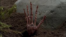 An image from Millennium's Skull and Bones.