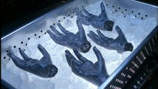 An image from Millennium's Bardo Thodol.