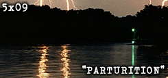 View Parturition in popular Adobe PDF format.