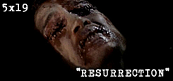 View Resurrection in popular Adobe PDF format.